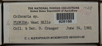 Image Associated With the Occurence